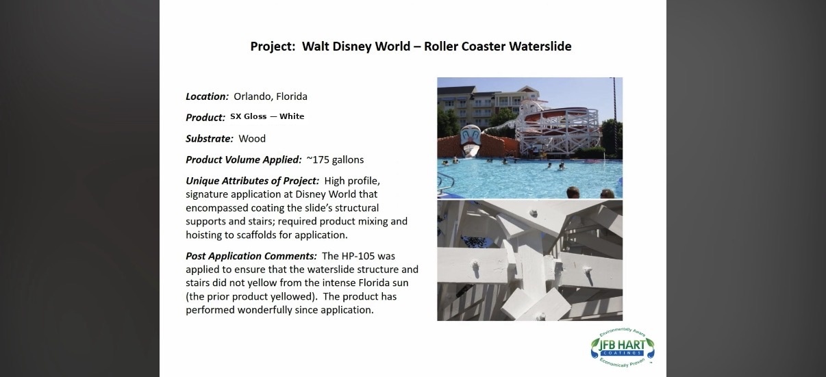 Walt Disney World Roller Coaster Waterslide