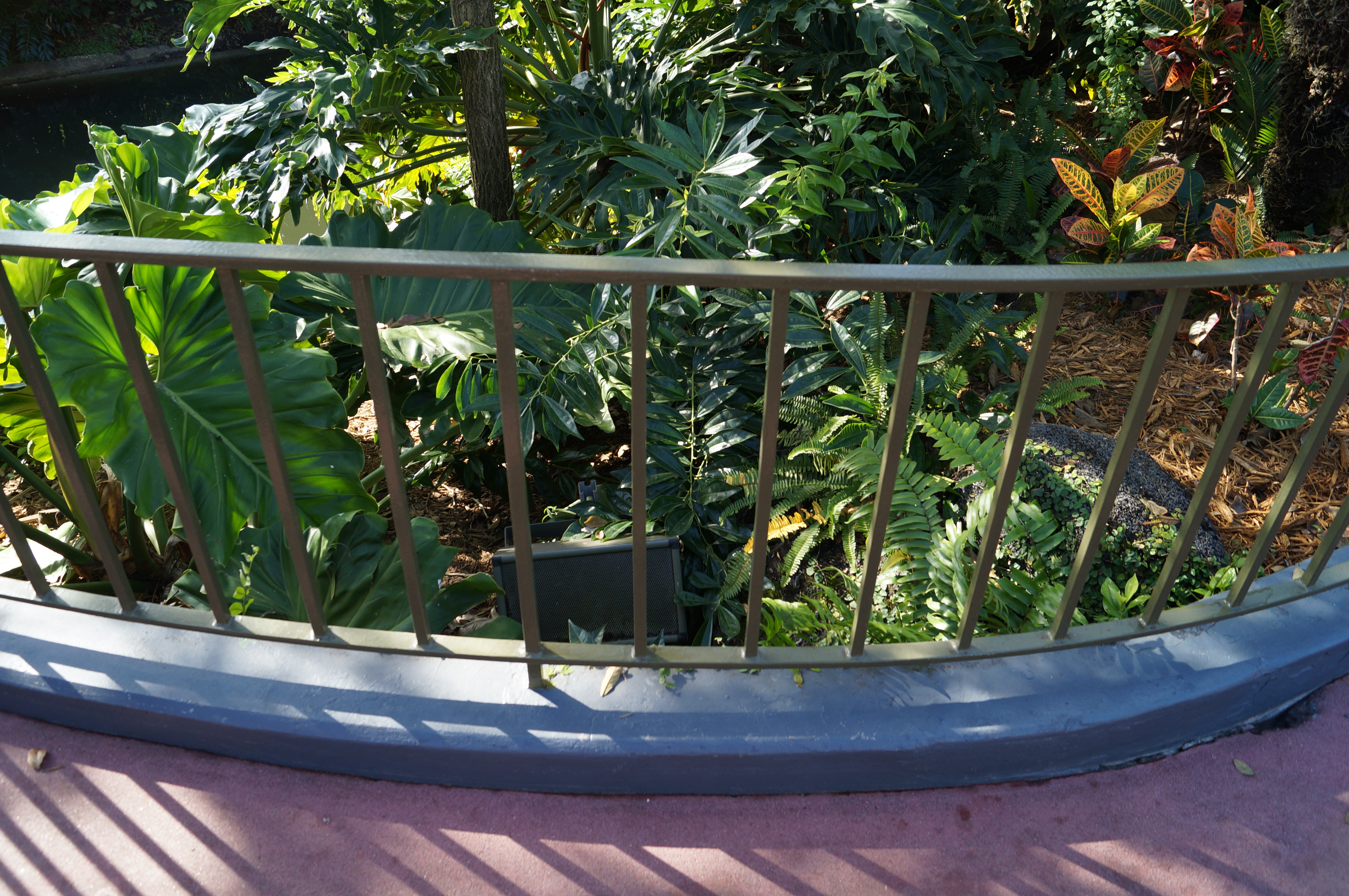 Disney Magic Kingdom green metal railings coating