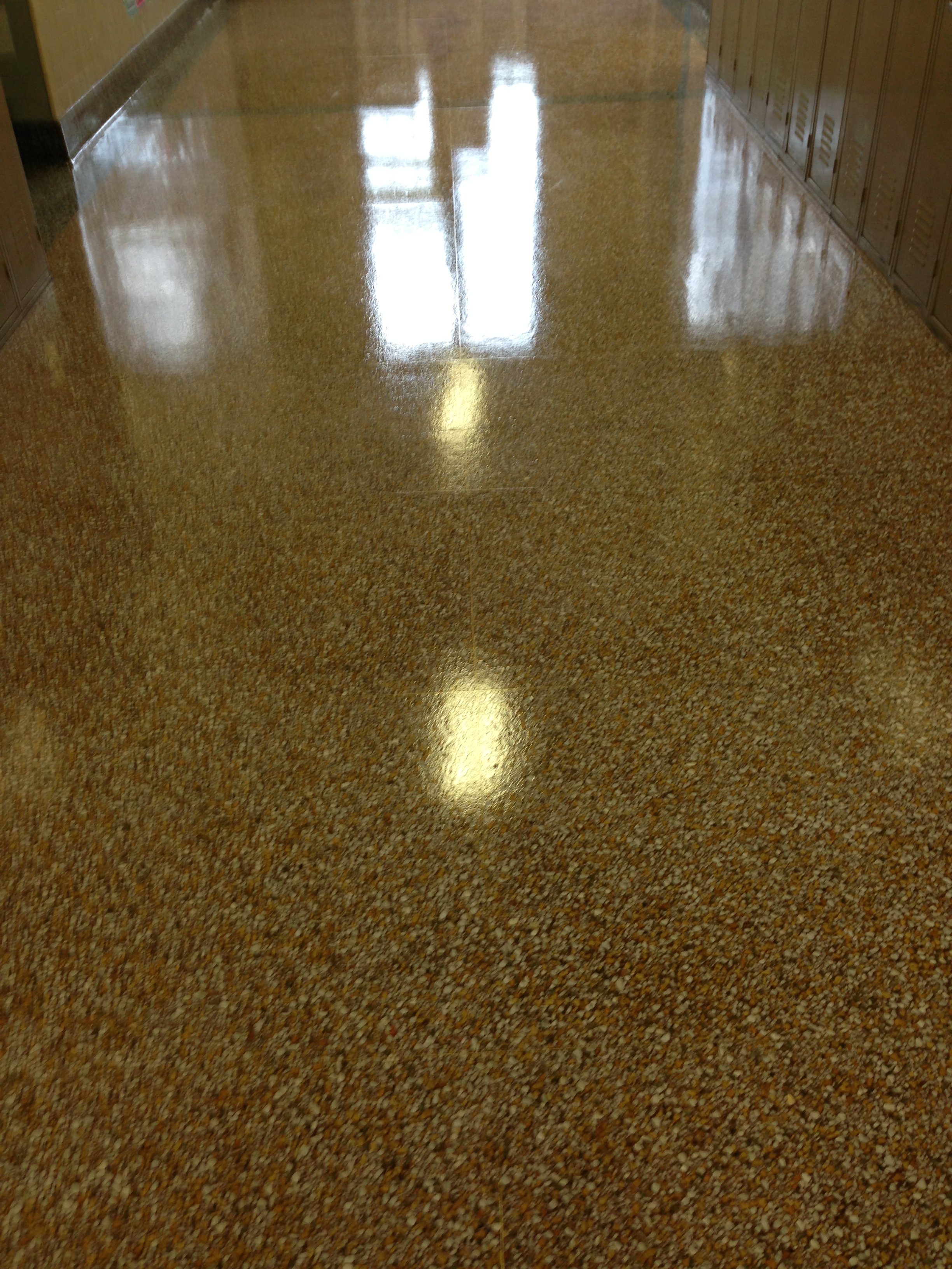 Powell Elementary School terrazzo floor coating Washington DC