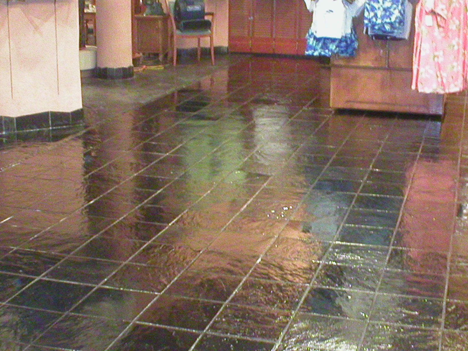 SeaWorld Discovery Cove gift shop slate floor coating