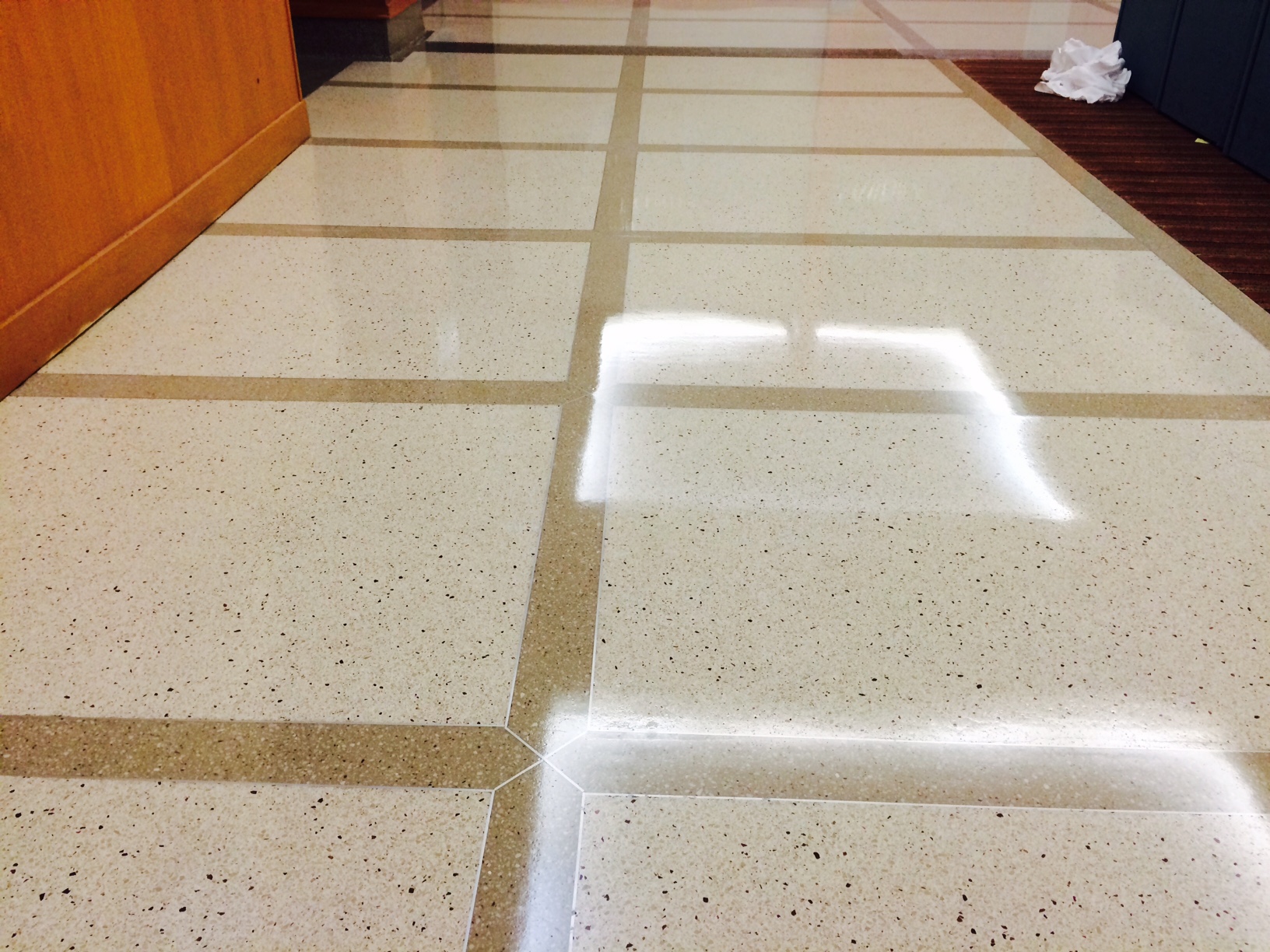 St. Alexius Medical Center terrazzo floor coating
