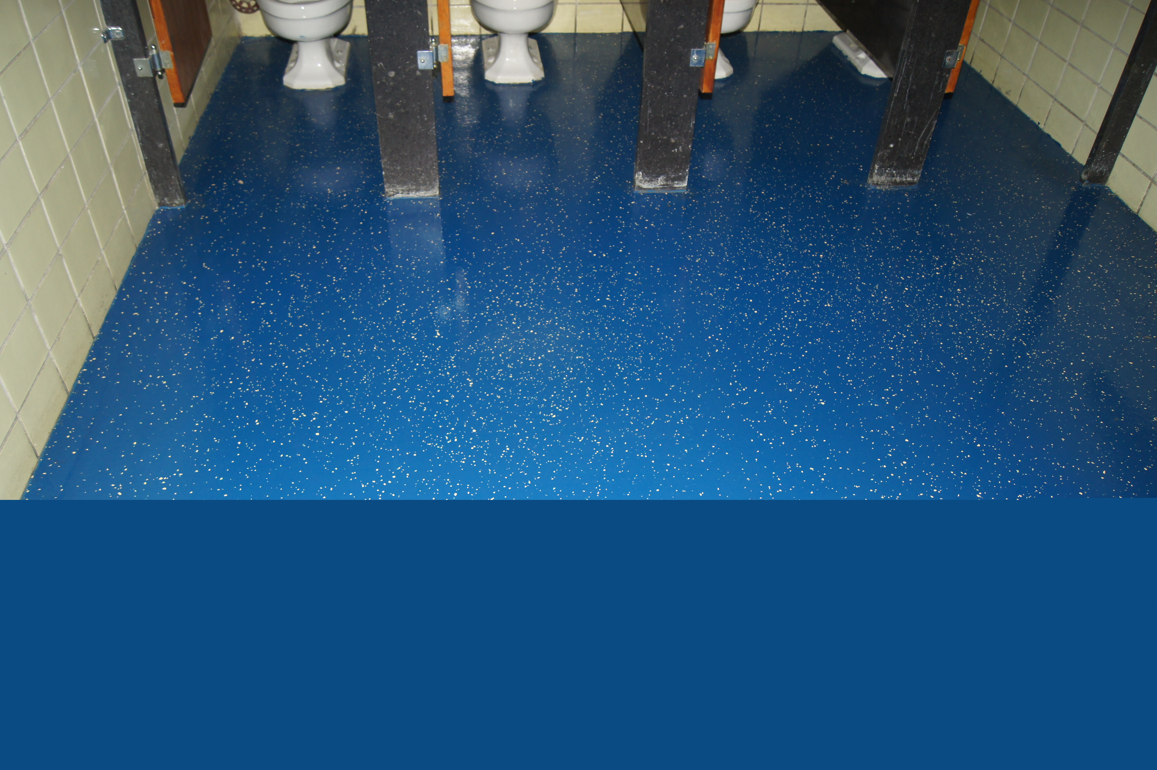 St. Francis Elementary School terrazzo floor coating with vinyl flakes
