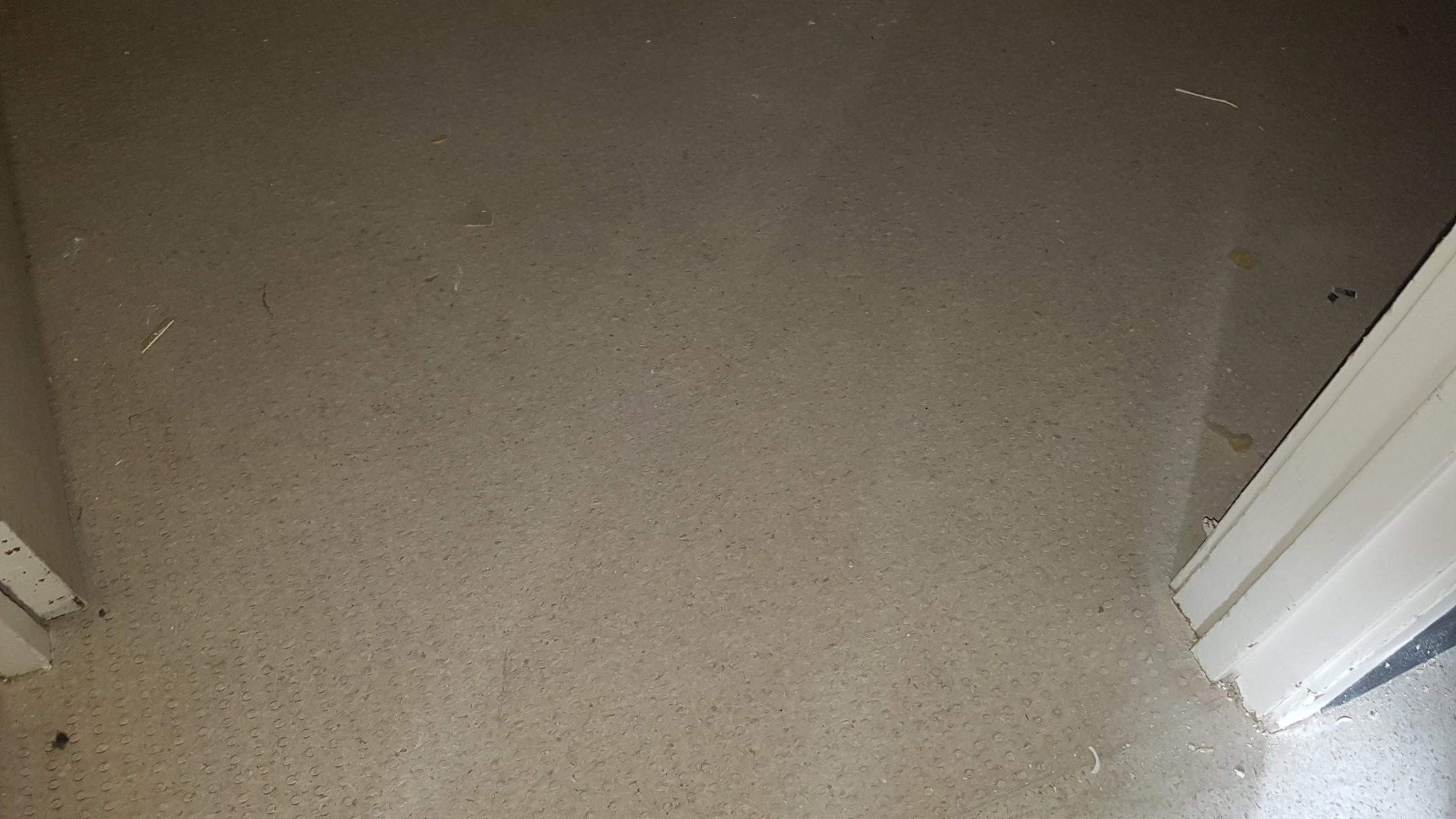Vinyl sheet flooring before coating